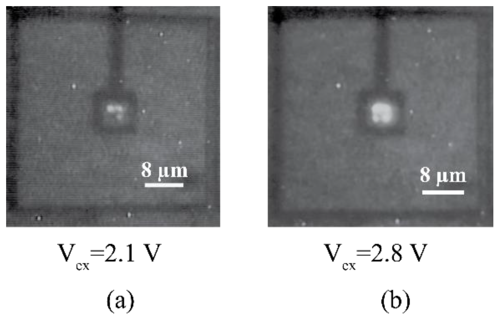 Sensors 21 04576 g020