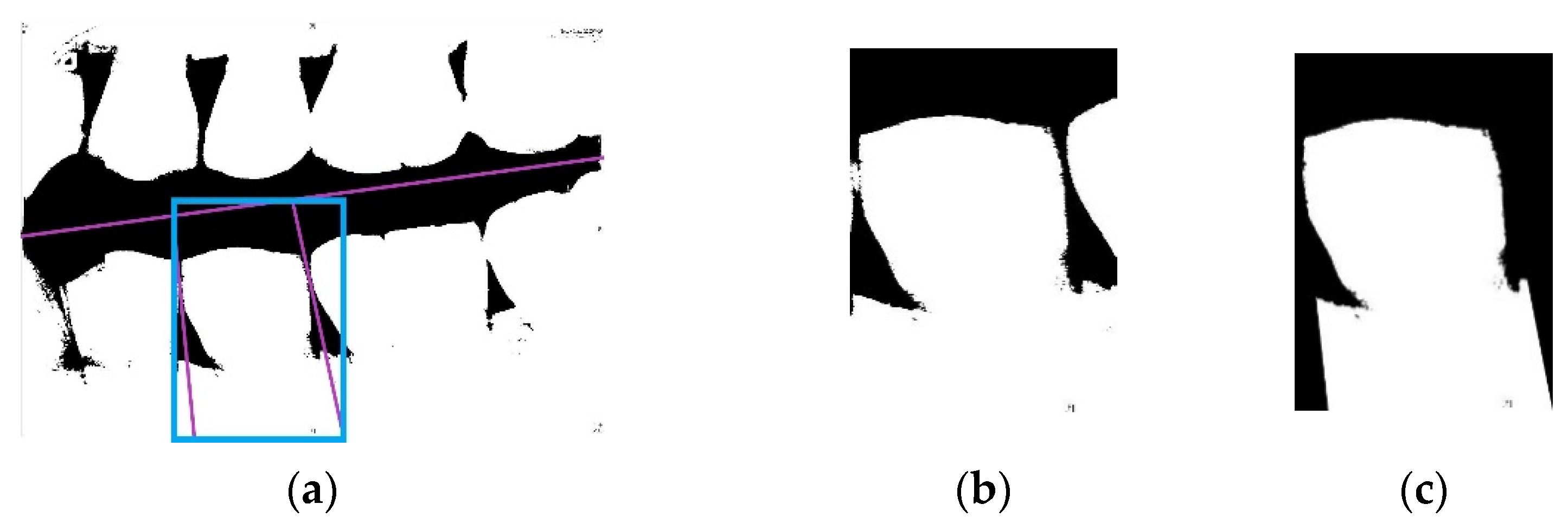 Sensors 21 04613 g005