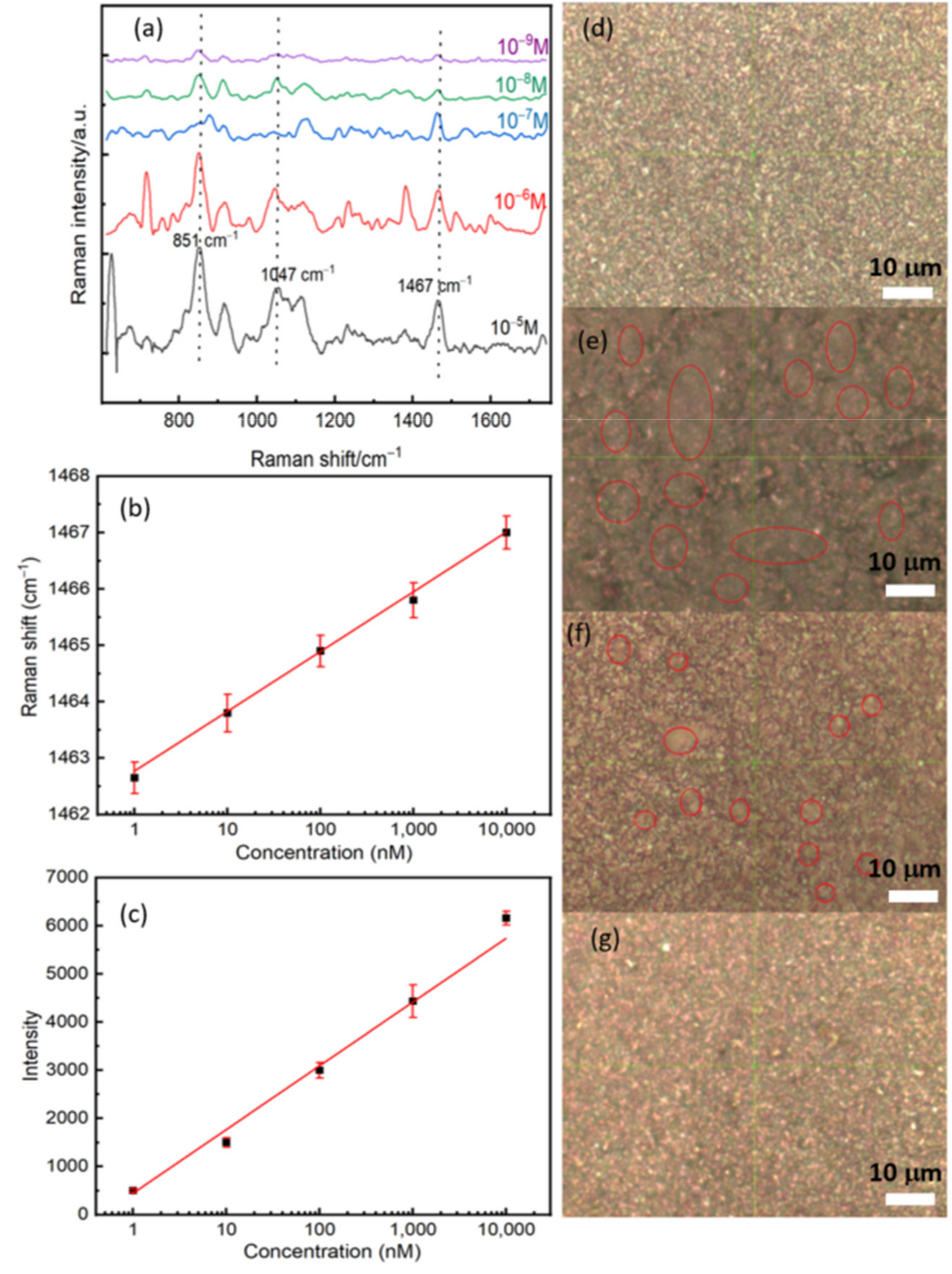 Sensors 21 04617 g005