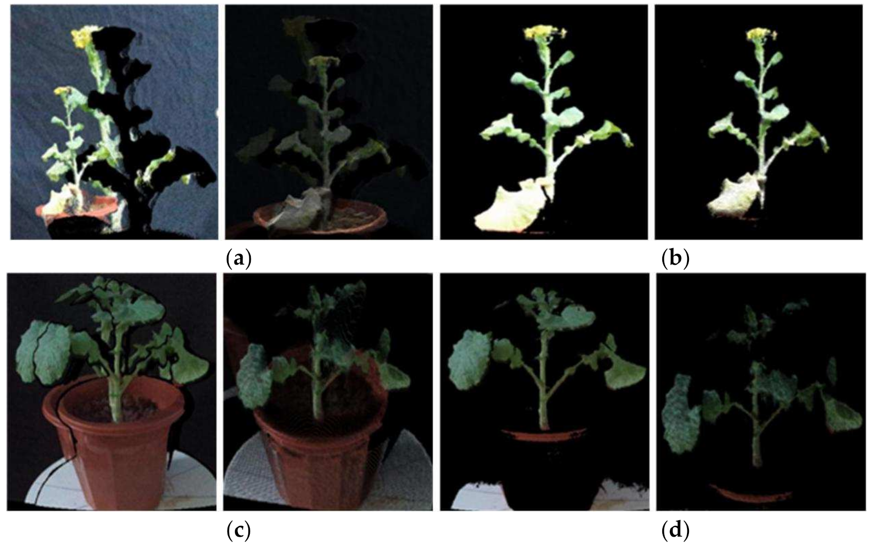 Sensors 21 04628 g005