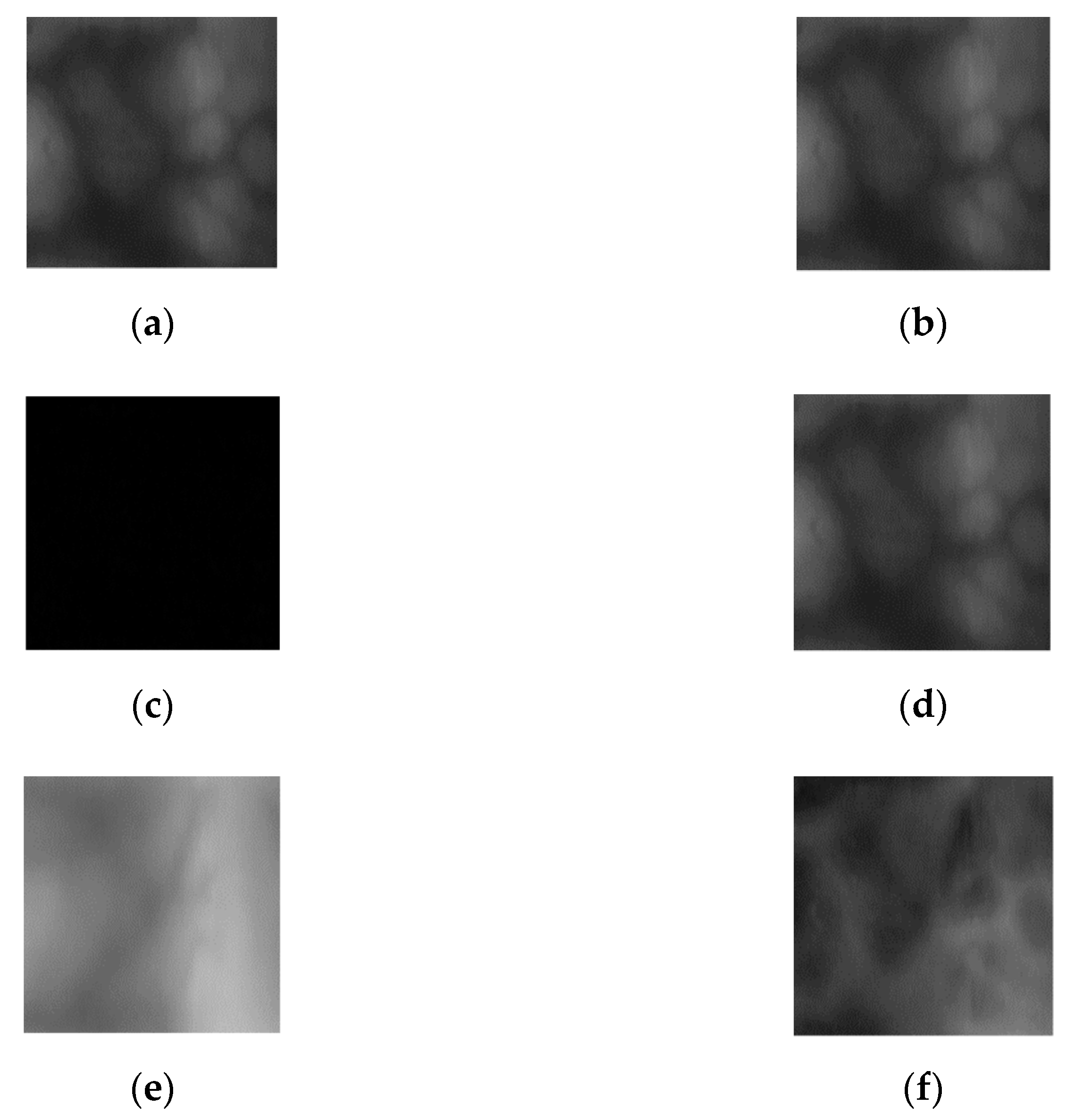 Sensors 21 04635 g007