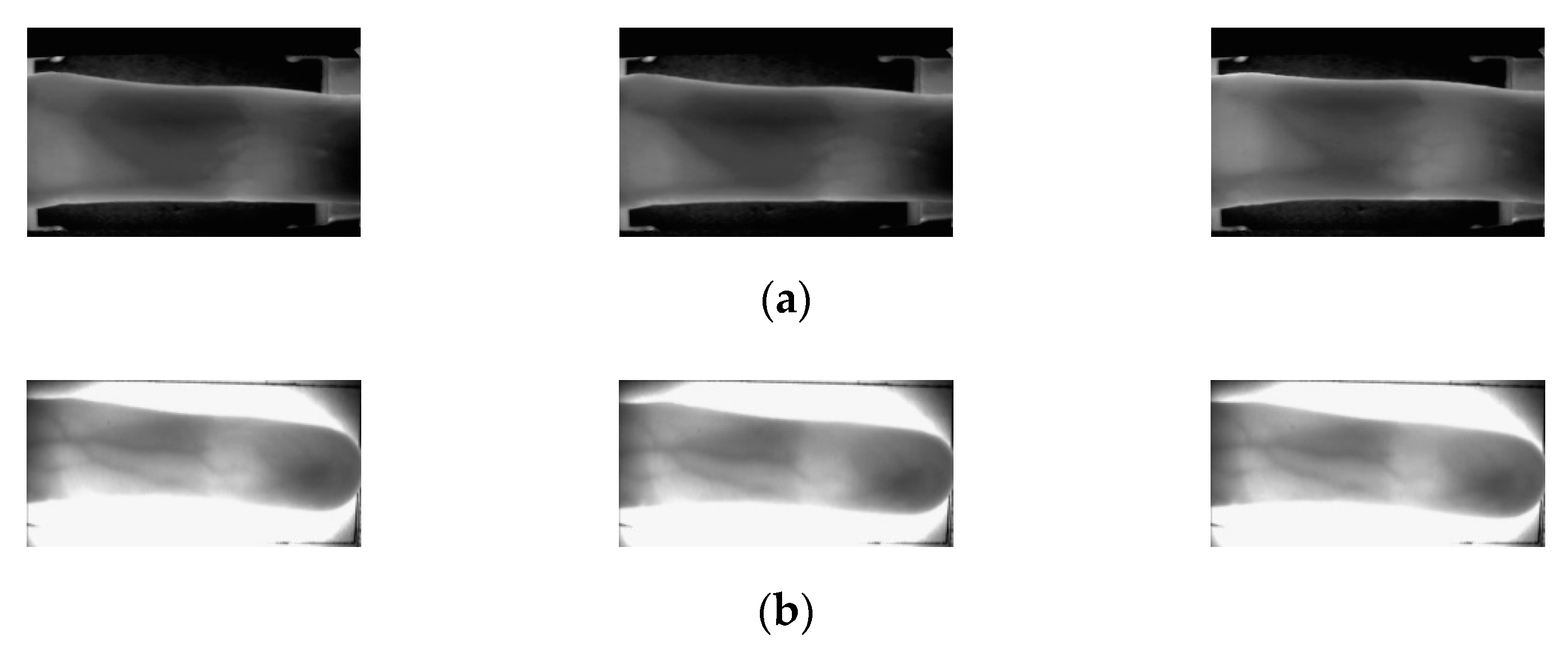 Sensors 21 04635 g008