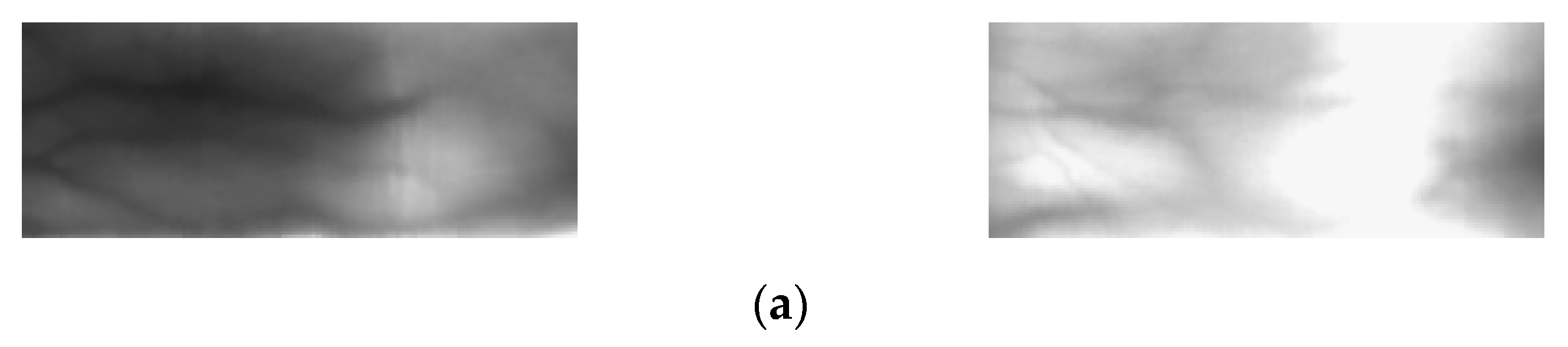 Sensors 21 04635 g010a