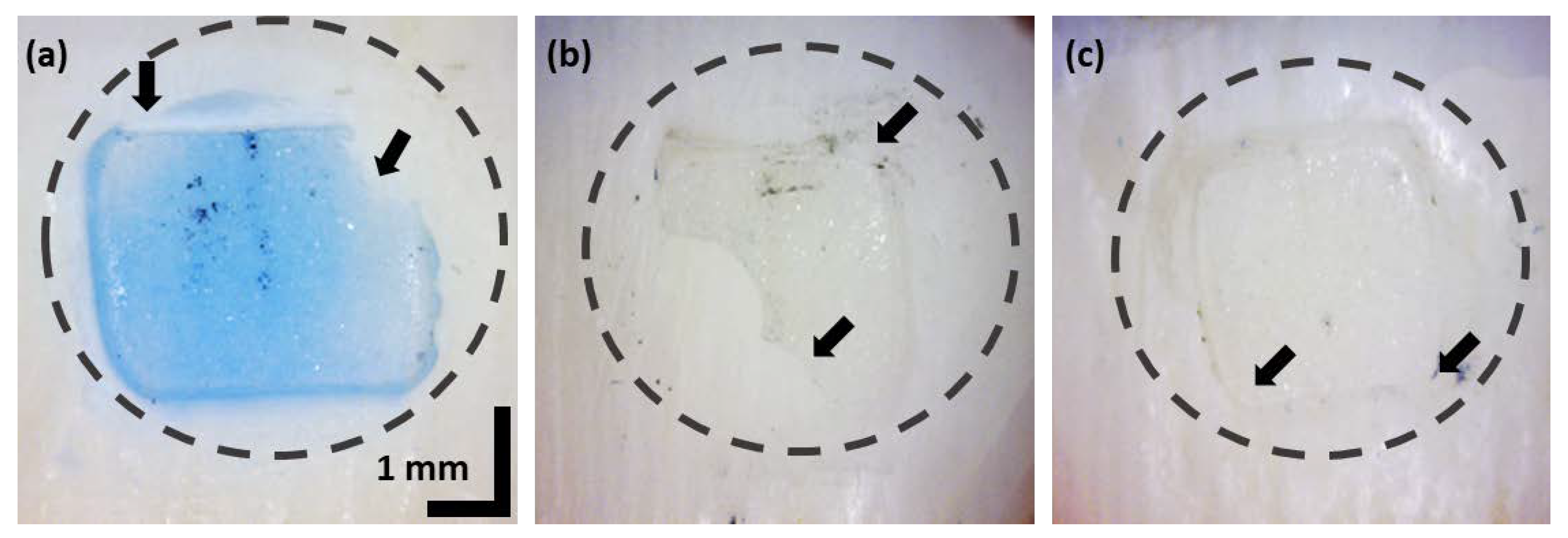 Sensors 21 04670 g001