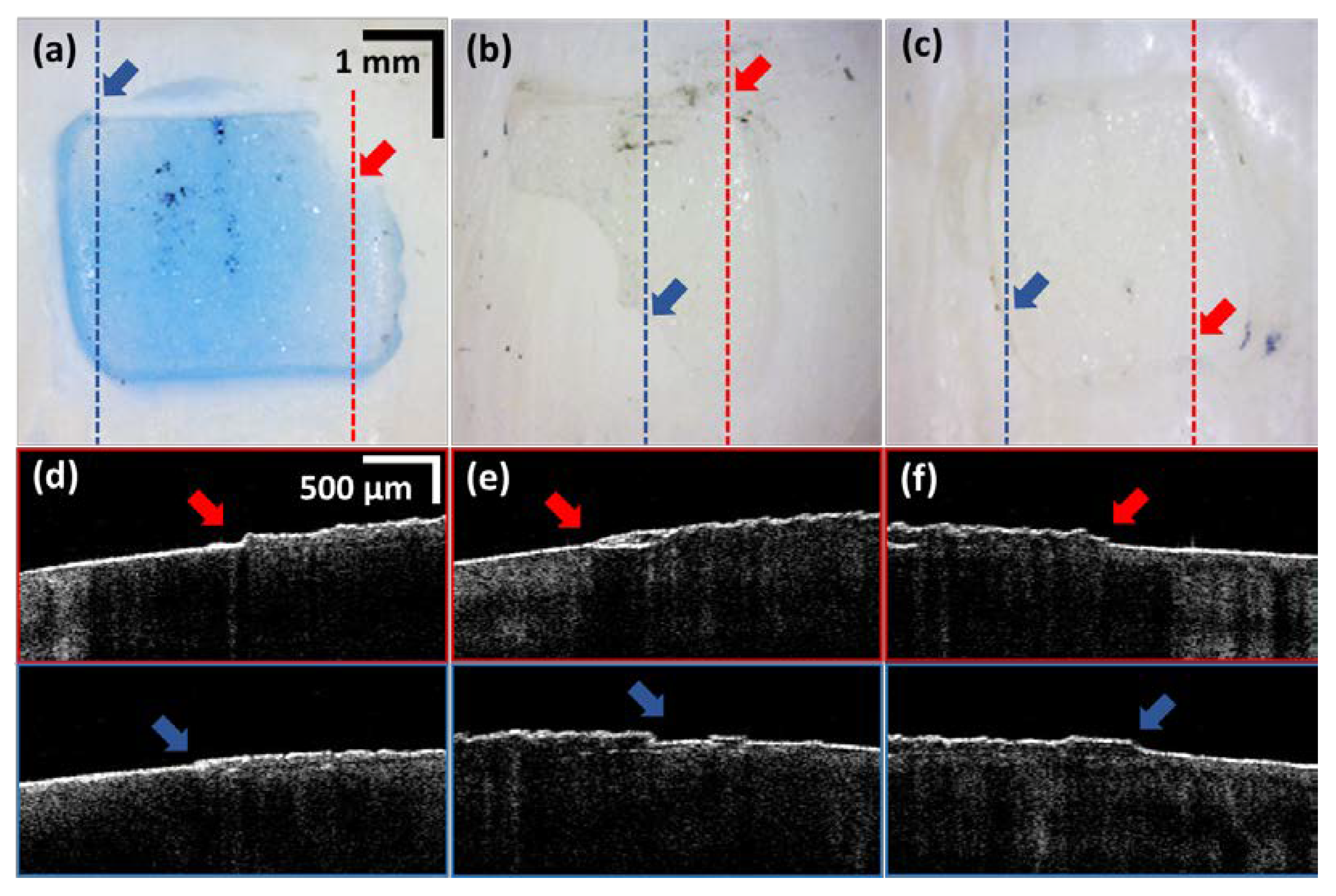 Sensors 21 04670 g004