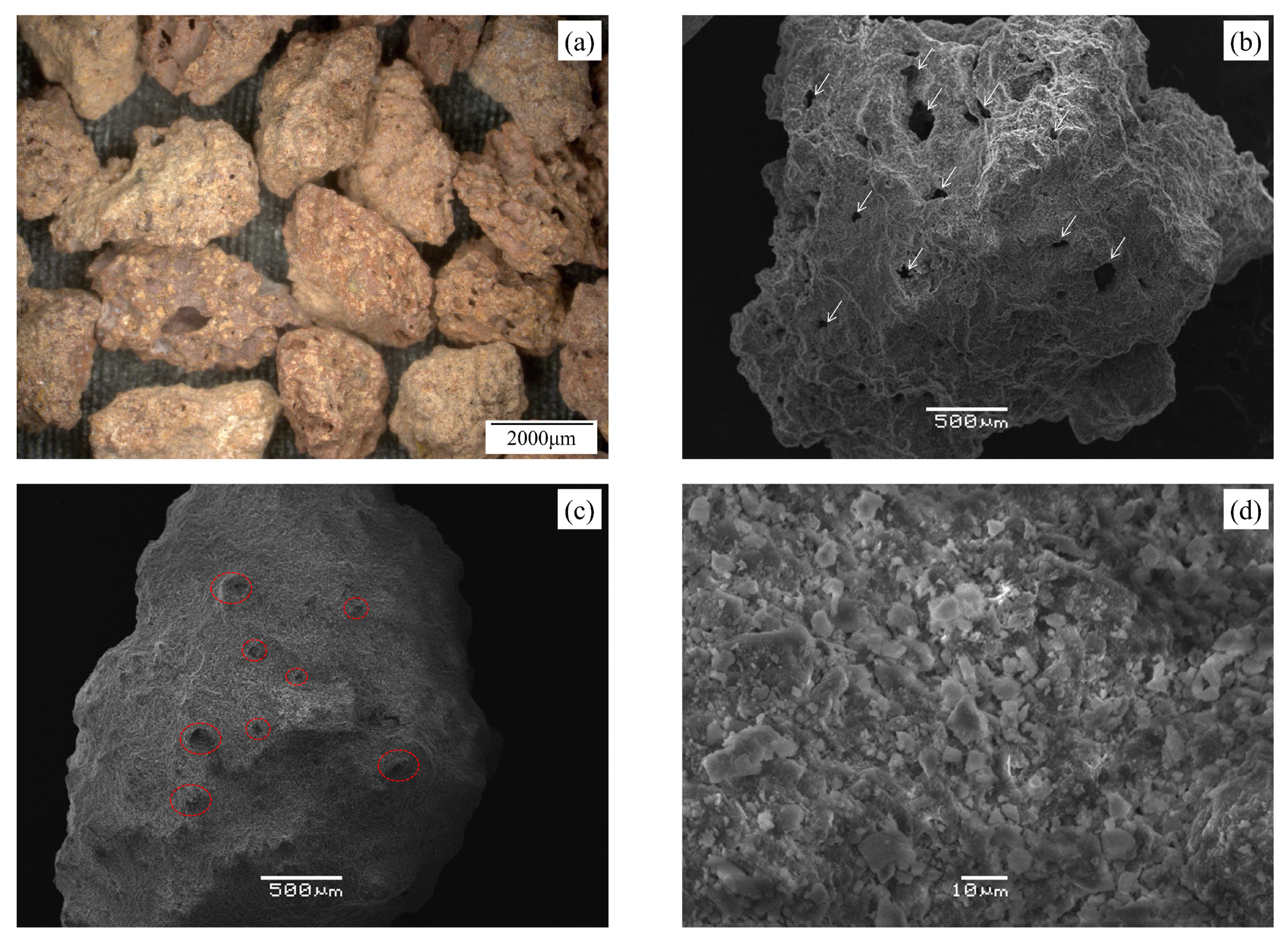 Sensors 21 04730 g001