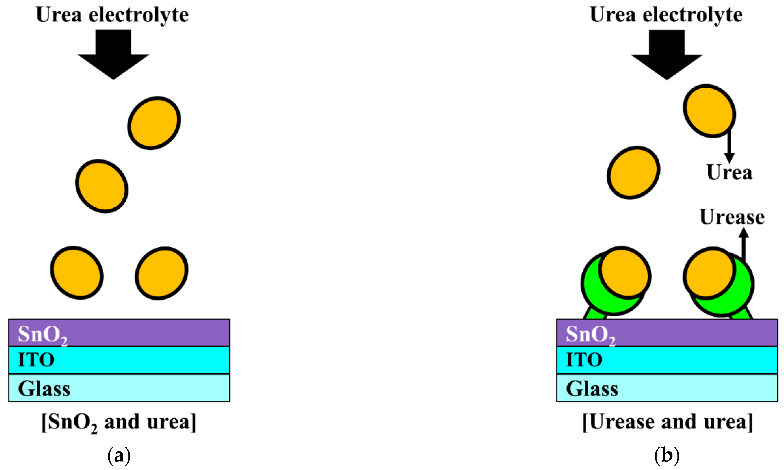Sensors 21 04748 g001
