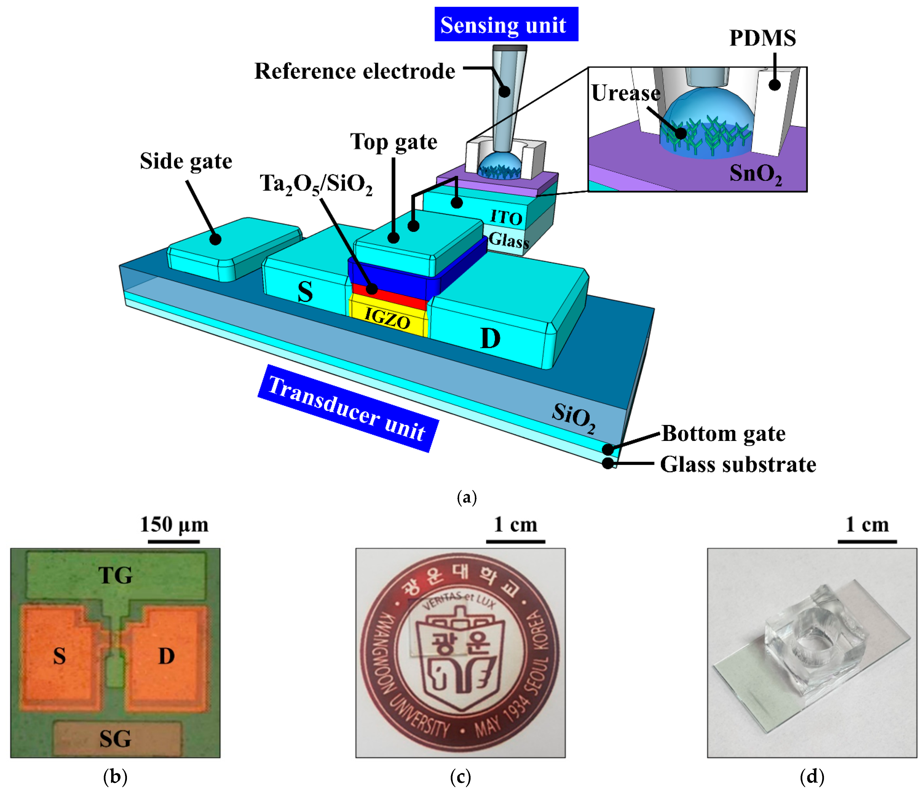 Sensors 21 04748 g002
