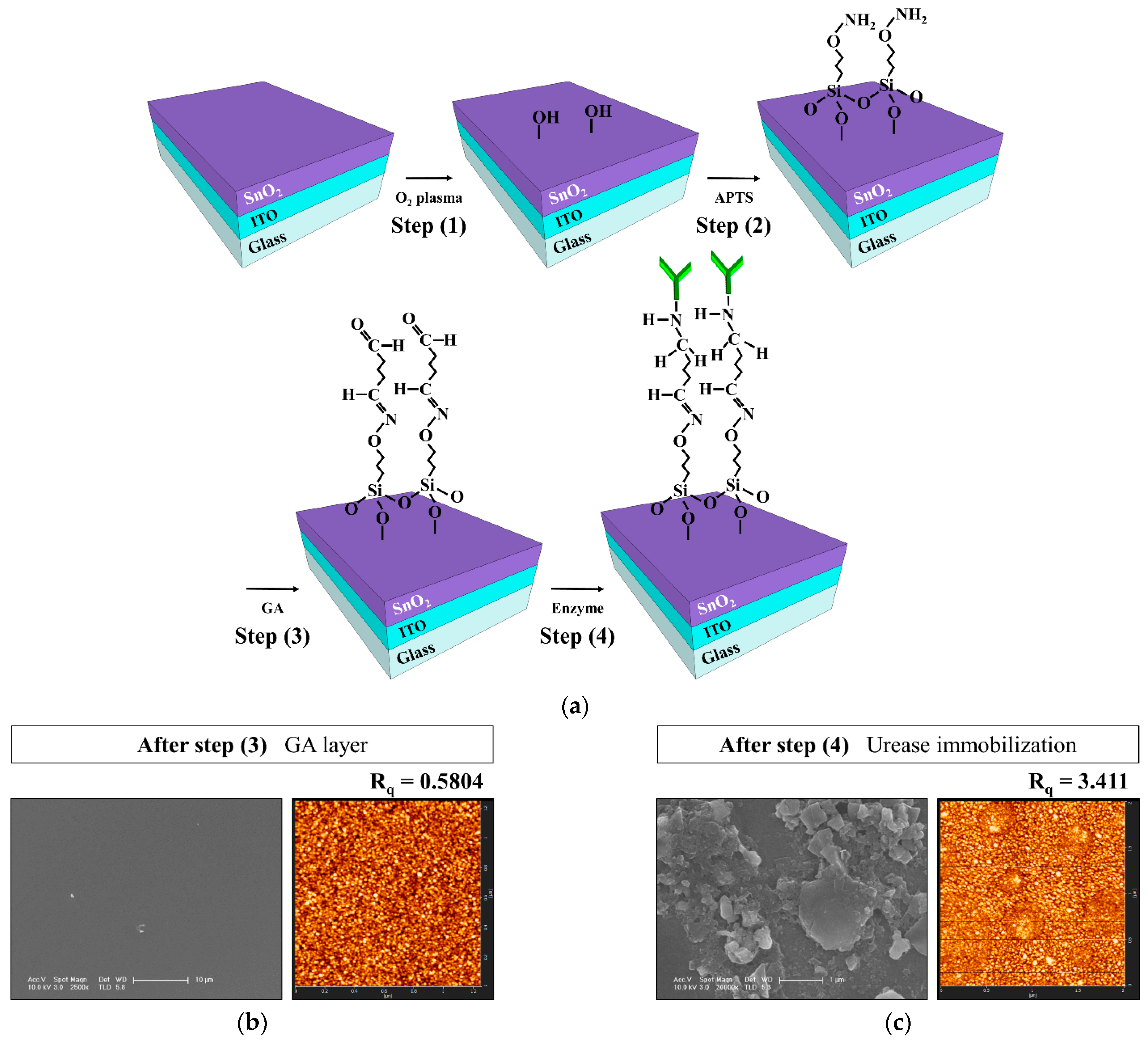 Sensors 21 04748 g003
