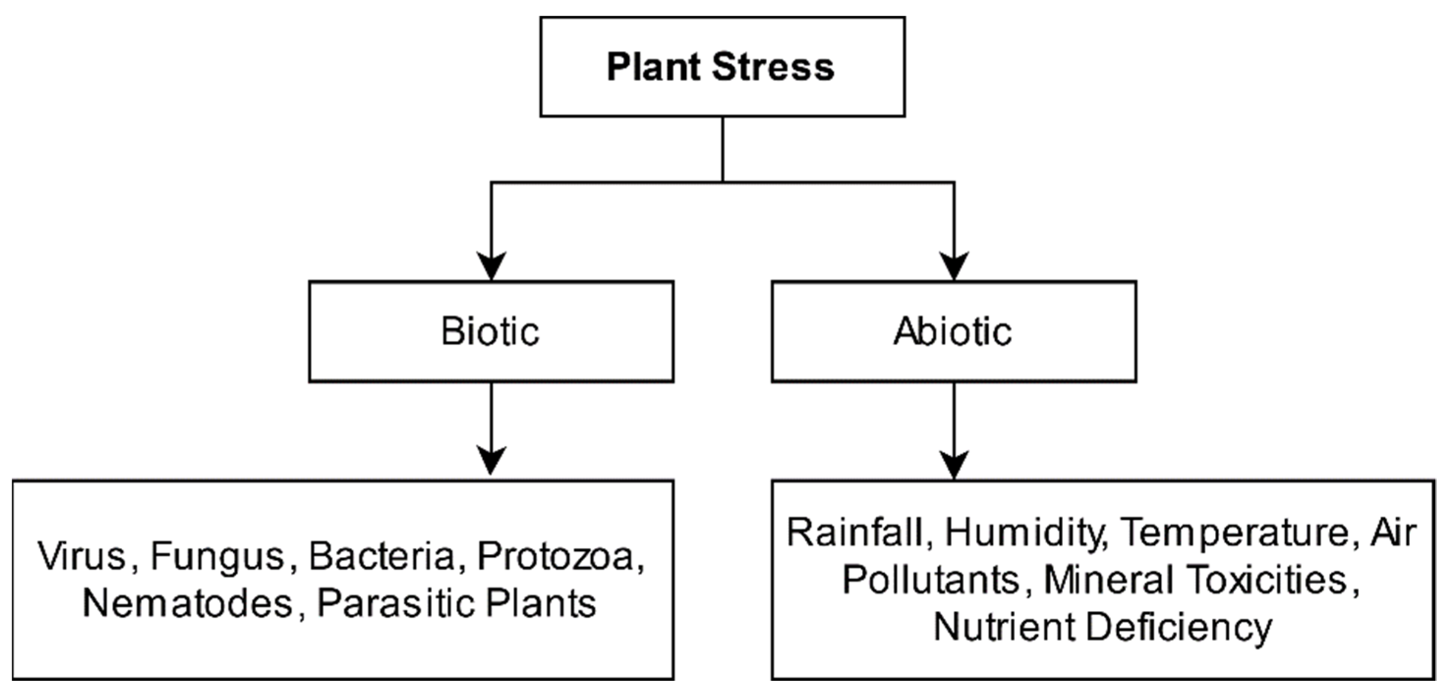Sensors 21 04749 g001