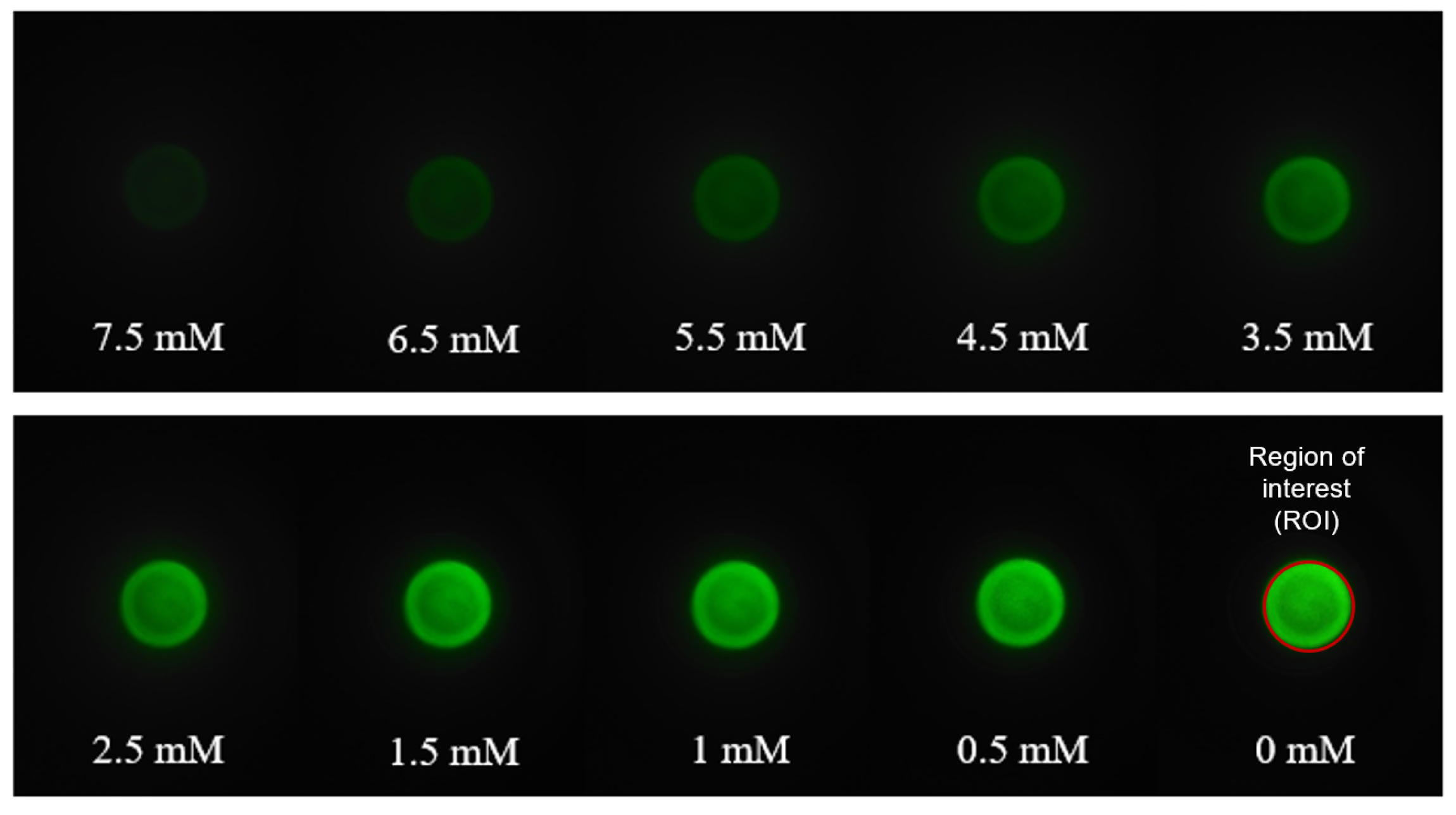 Sensors 21 04751 g004