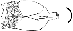 Sensors 21 04761 i004