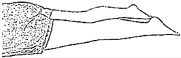 Sensors 21 04761 i007