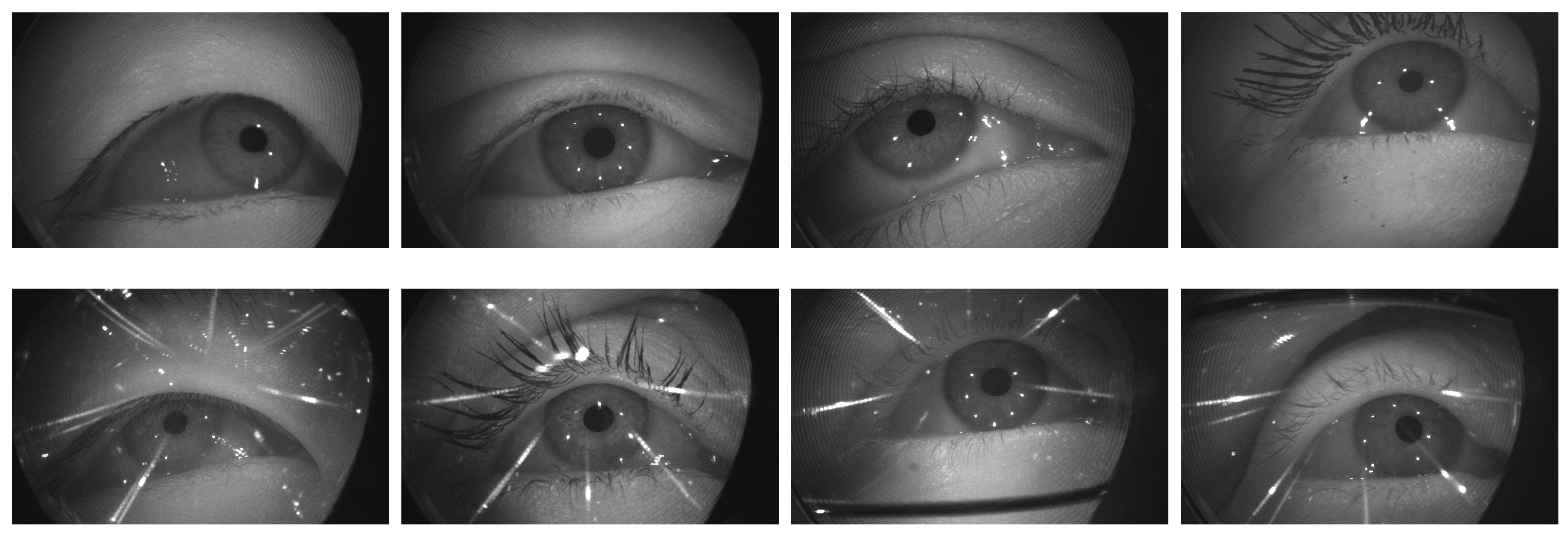 Sensors 21 04769 g001