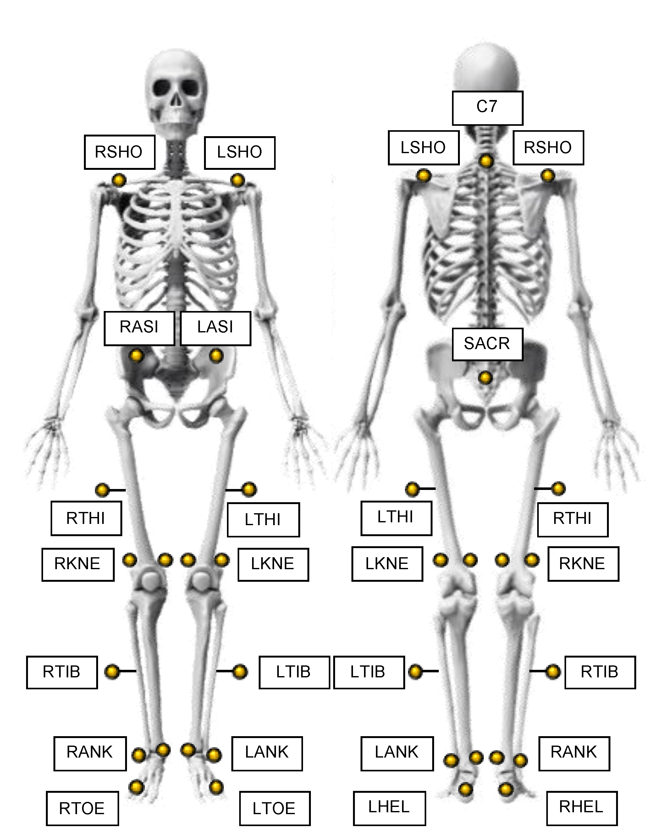 Sensors 21 04795 g002