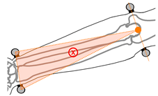 Sensors 21 04799 i002