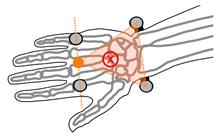 Sensors 21 04799 i005