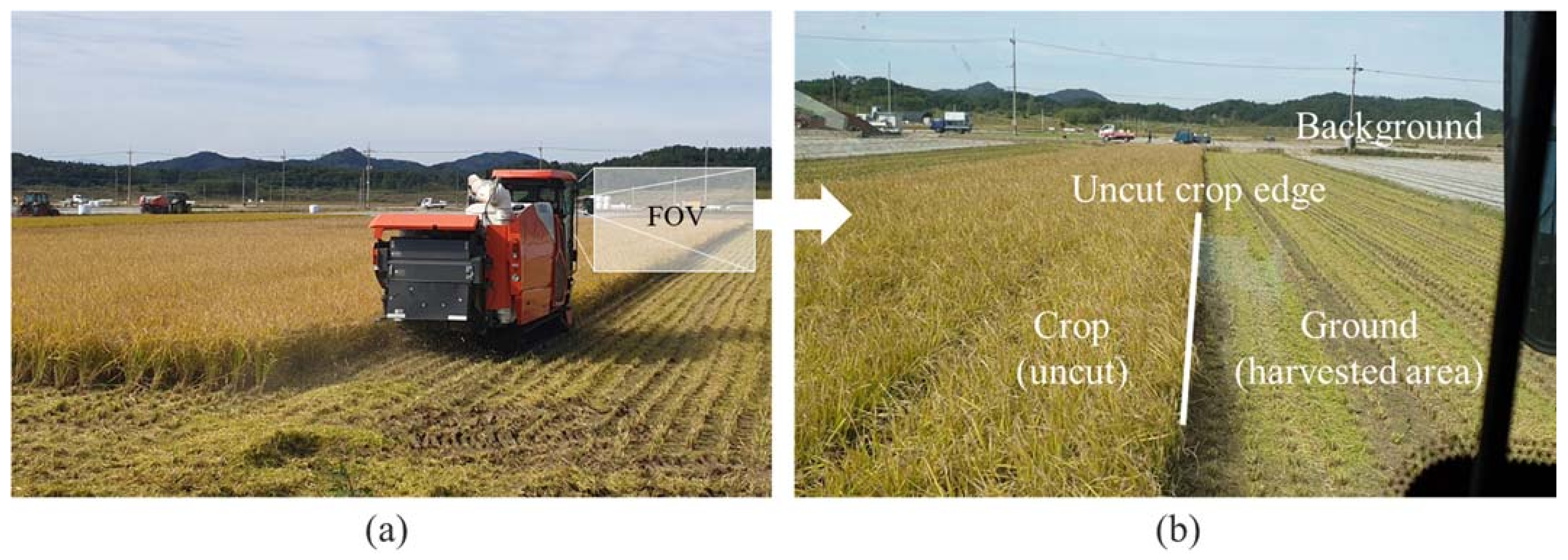 Sensors 21 04801 g001