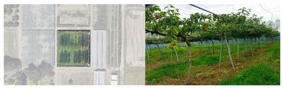 Sensors 21 04803 g003