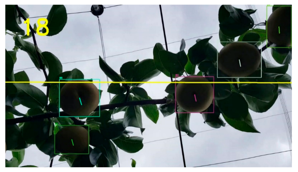 Sensors 21 04803 g012