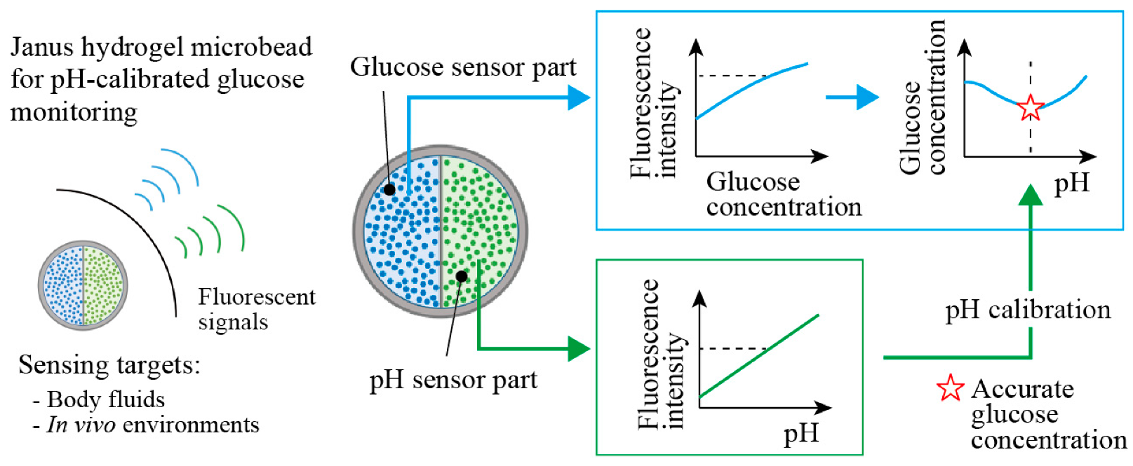 Sensors 21 04829 g001