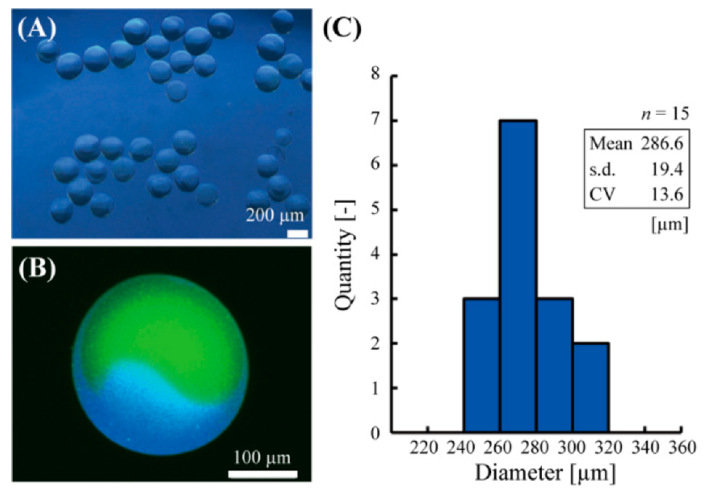 Sensors 21 04829 g003