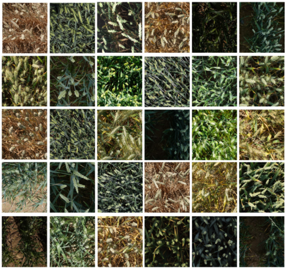 Sensors 21 04845 g001