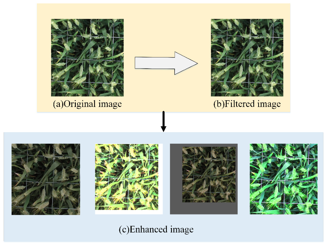 Sensors 21 04845 g004