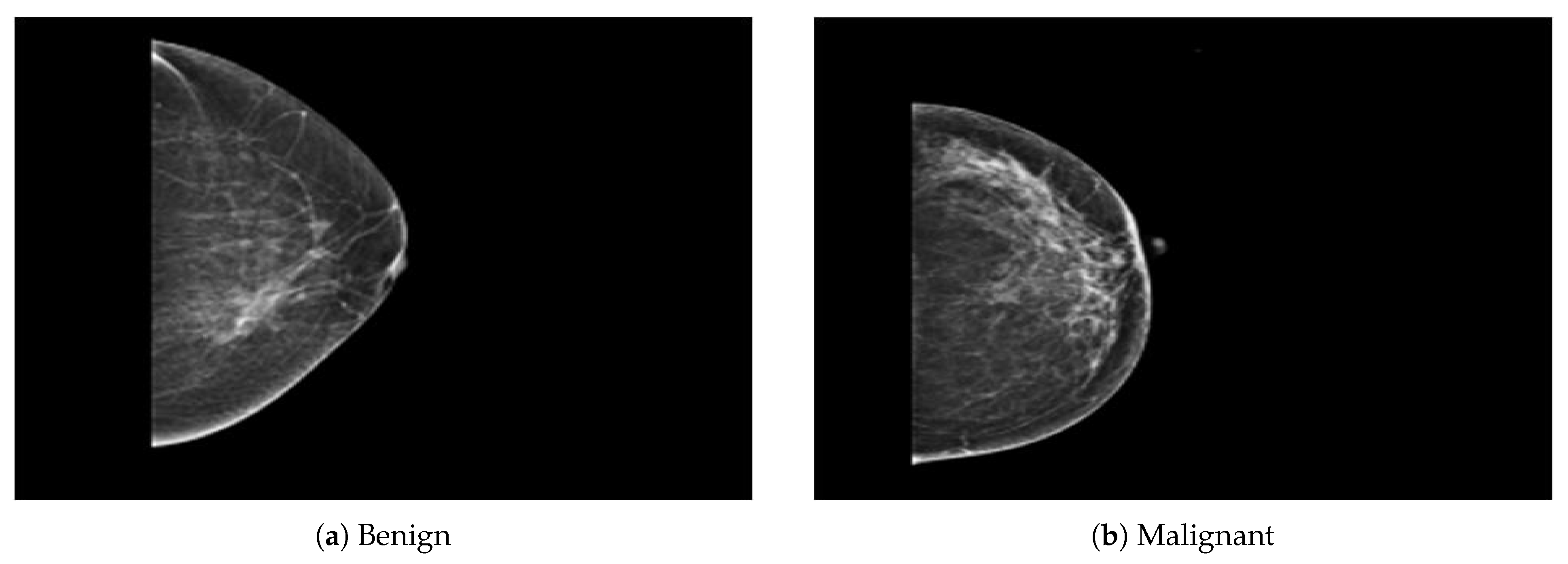 Sensors 21 04854 g002