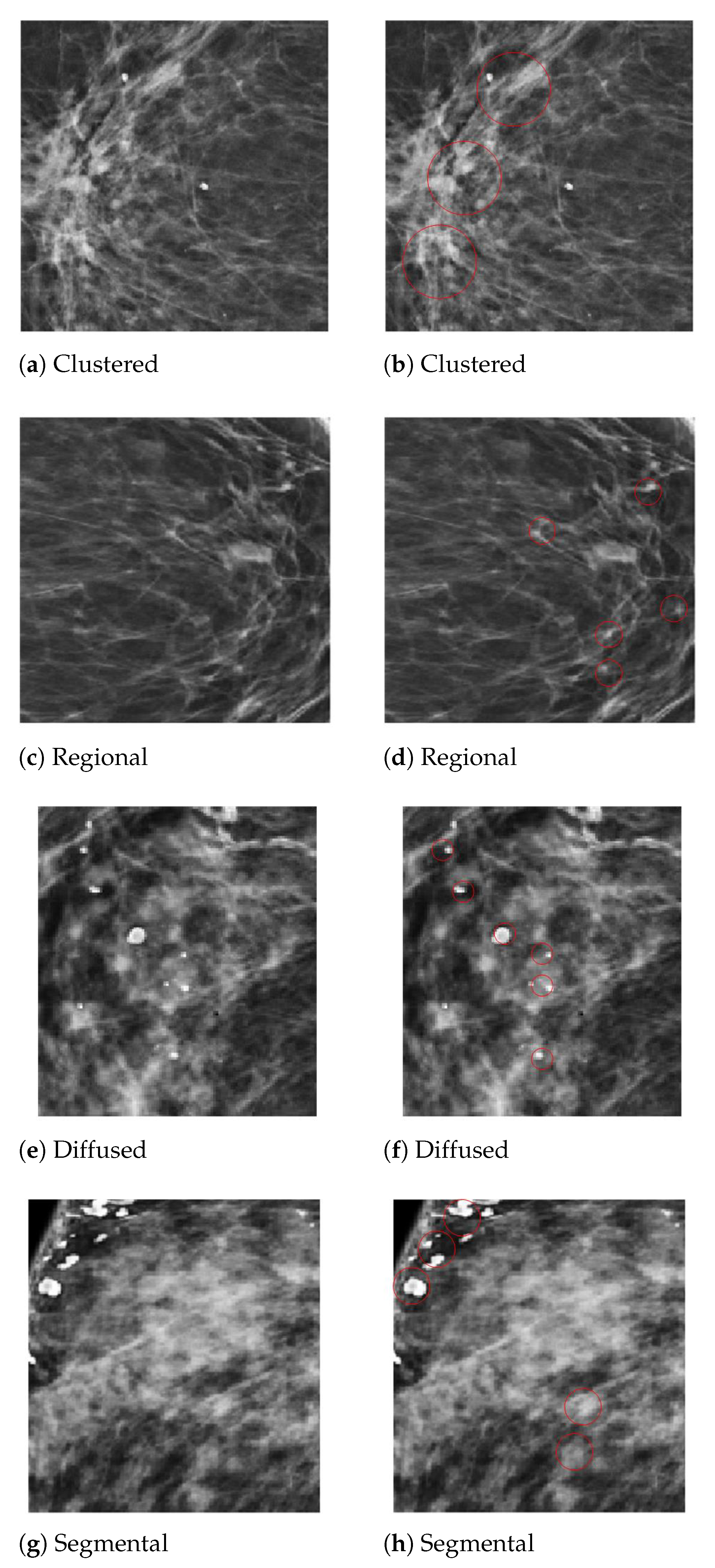 Sensors 21 04854 g005