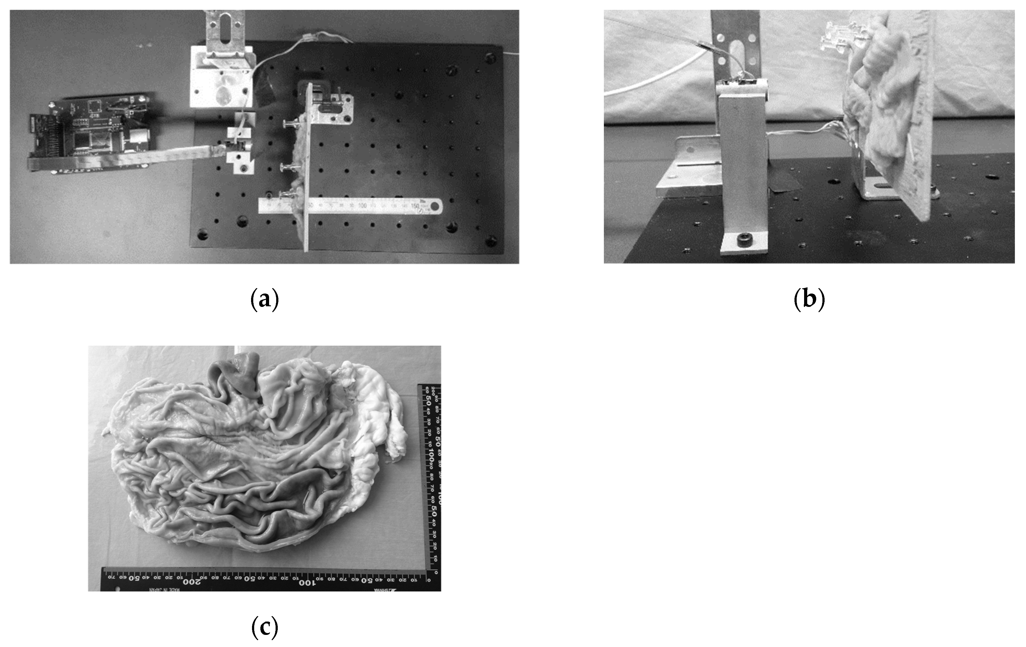 Sensors 21 04887 g005