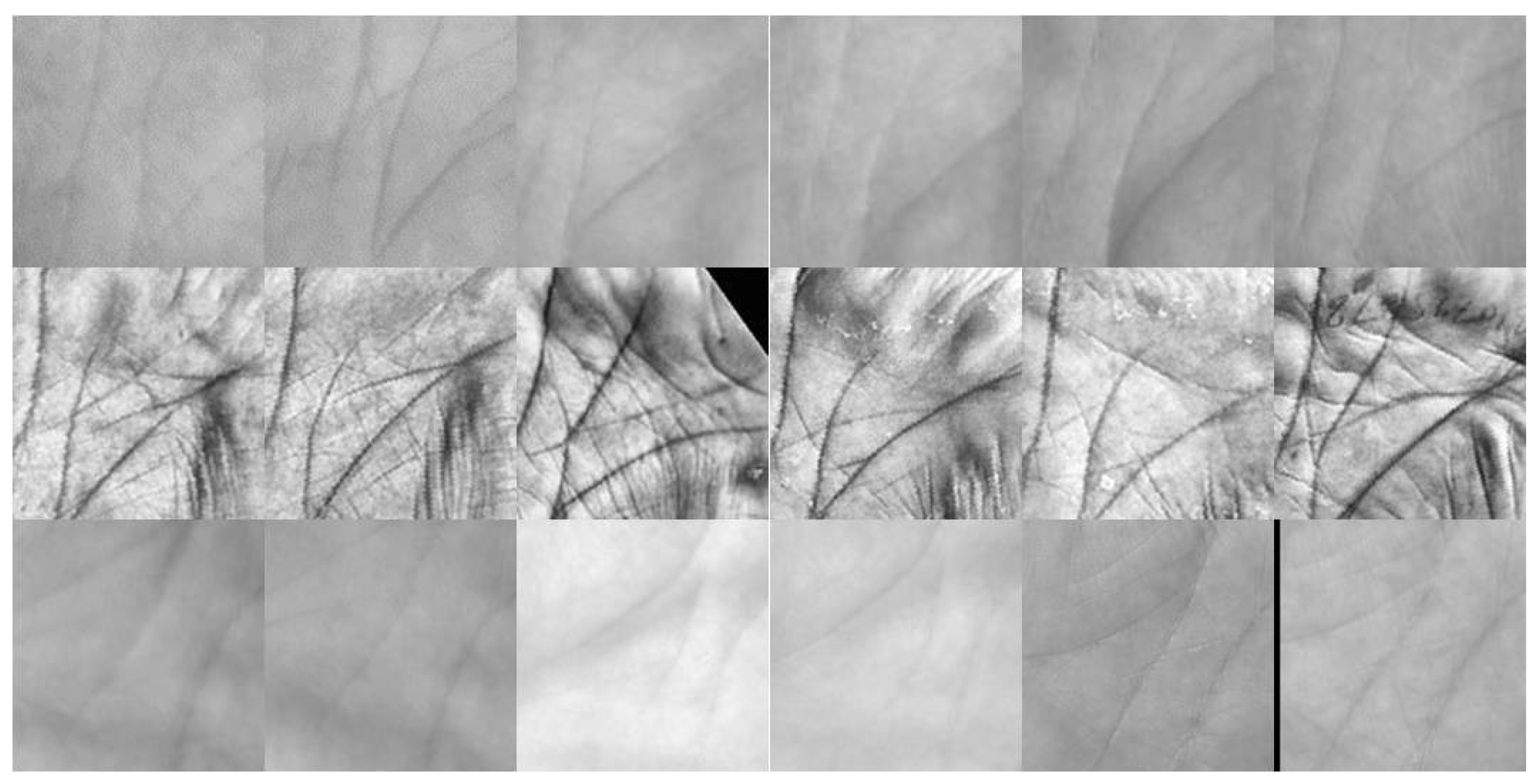 Sensors 21 04896 g005