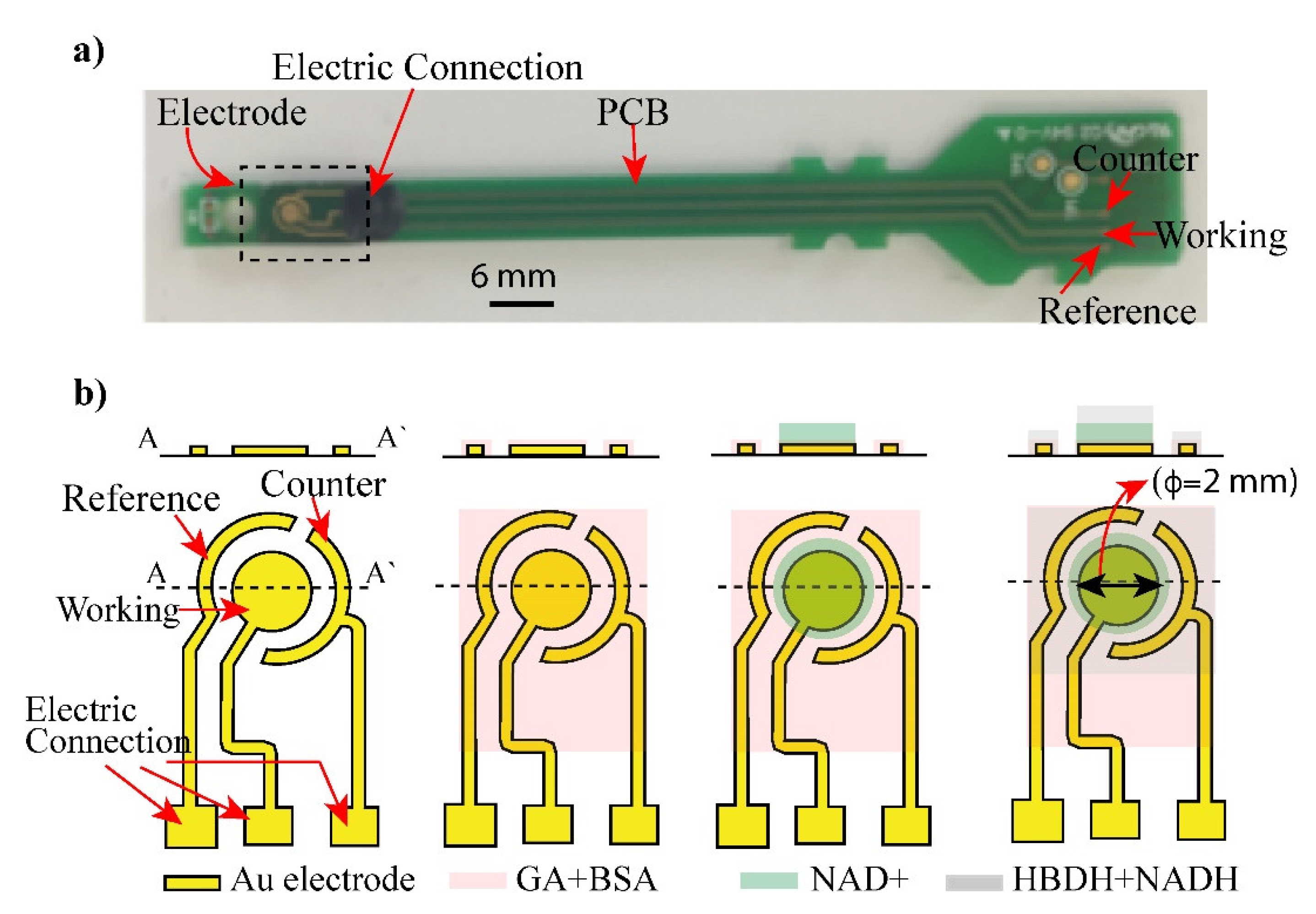 Sensors 21 04902 g001