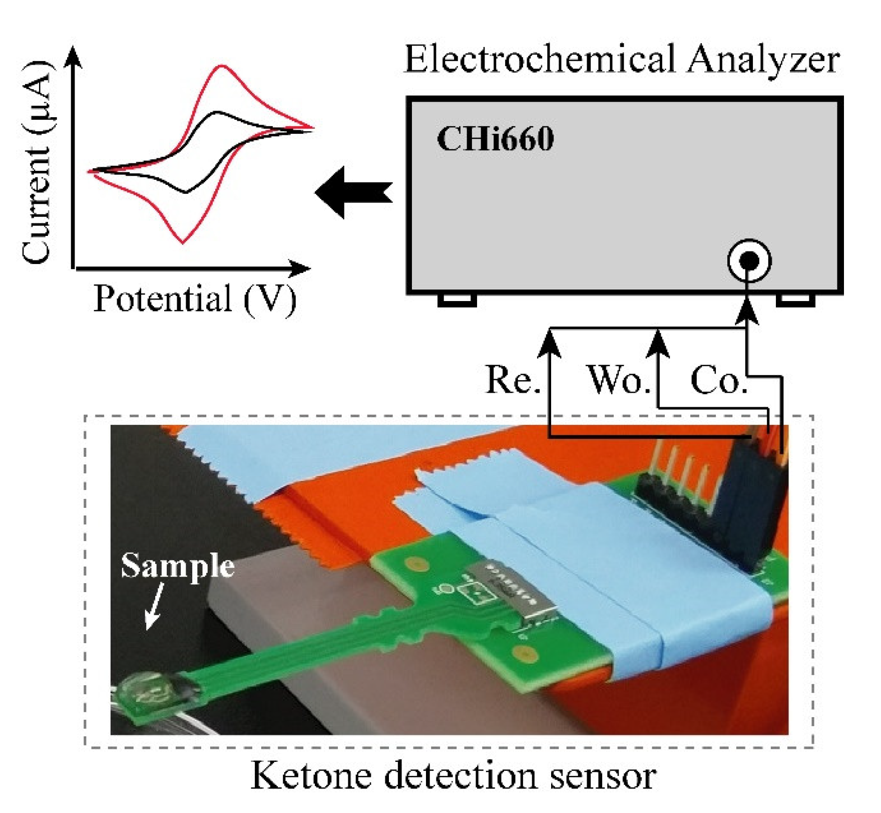Sensors 21 04902 g002
