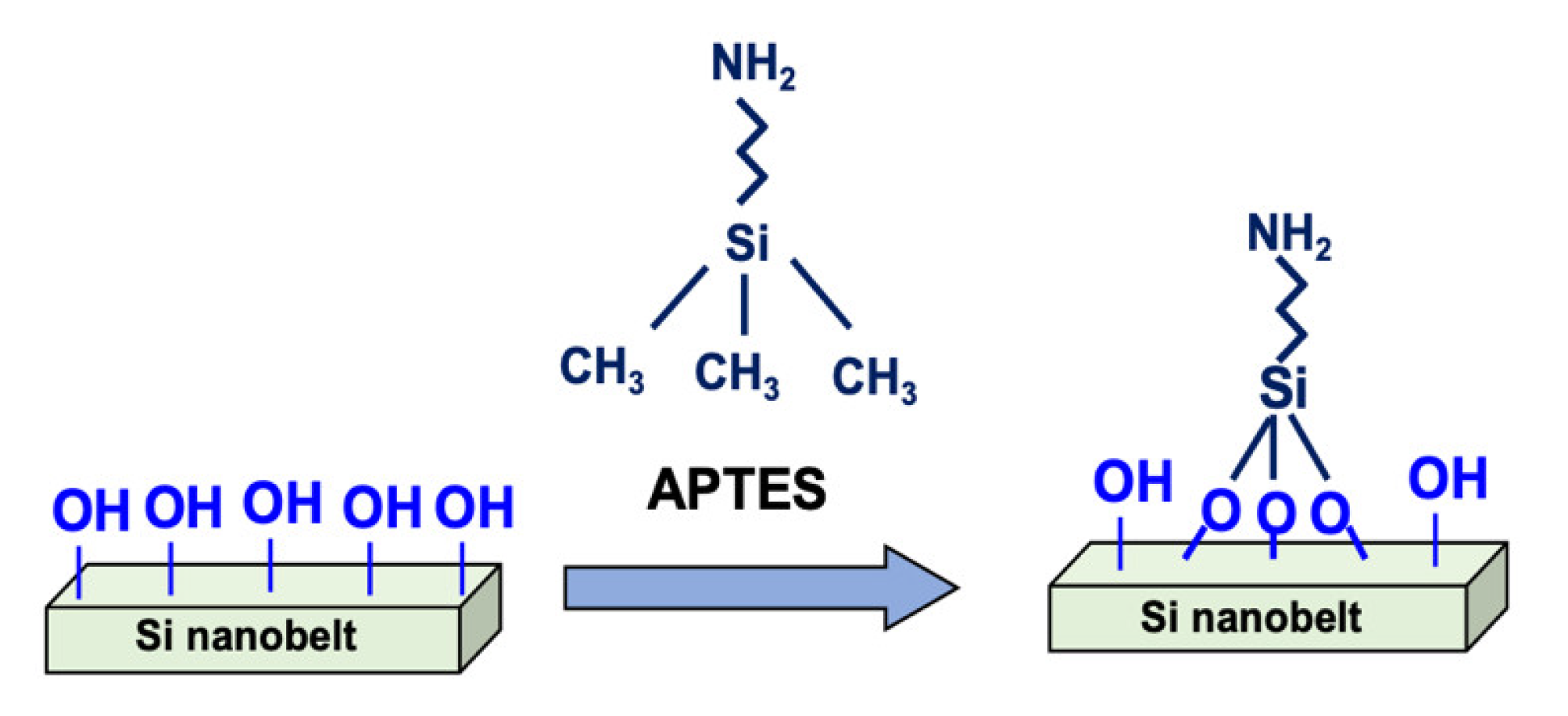Sensors 21 04904 g002