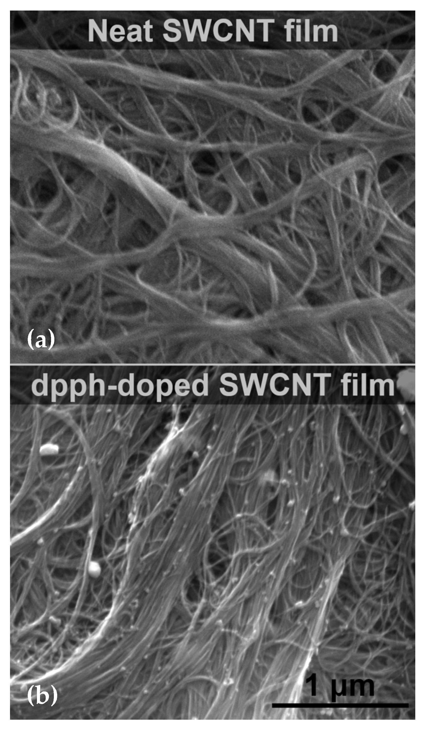 Sensors 21 04915 g003