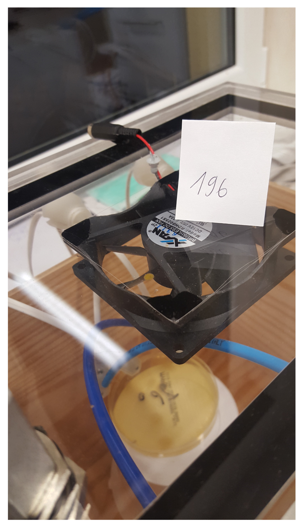 Sensors 21 04917 g005