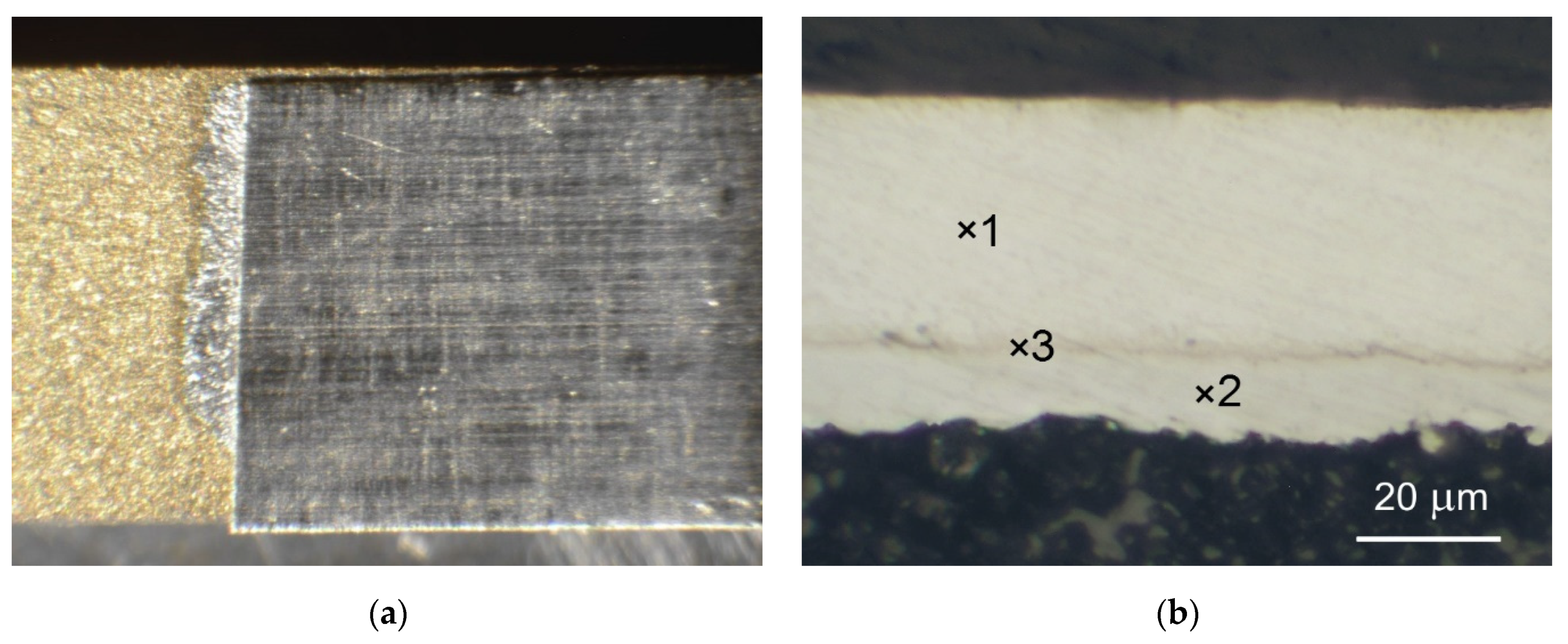 Sensors 21 04919 g007