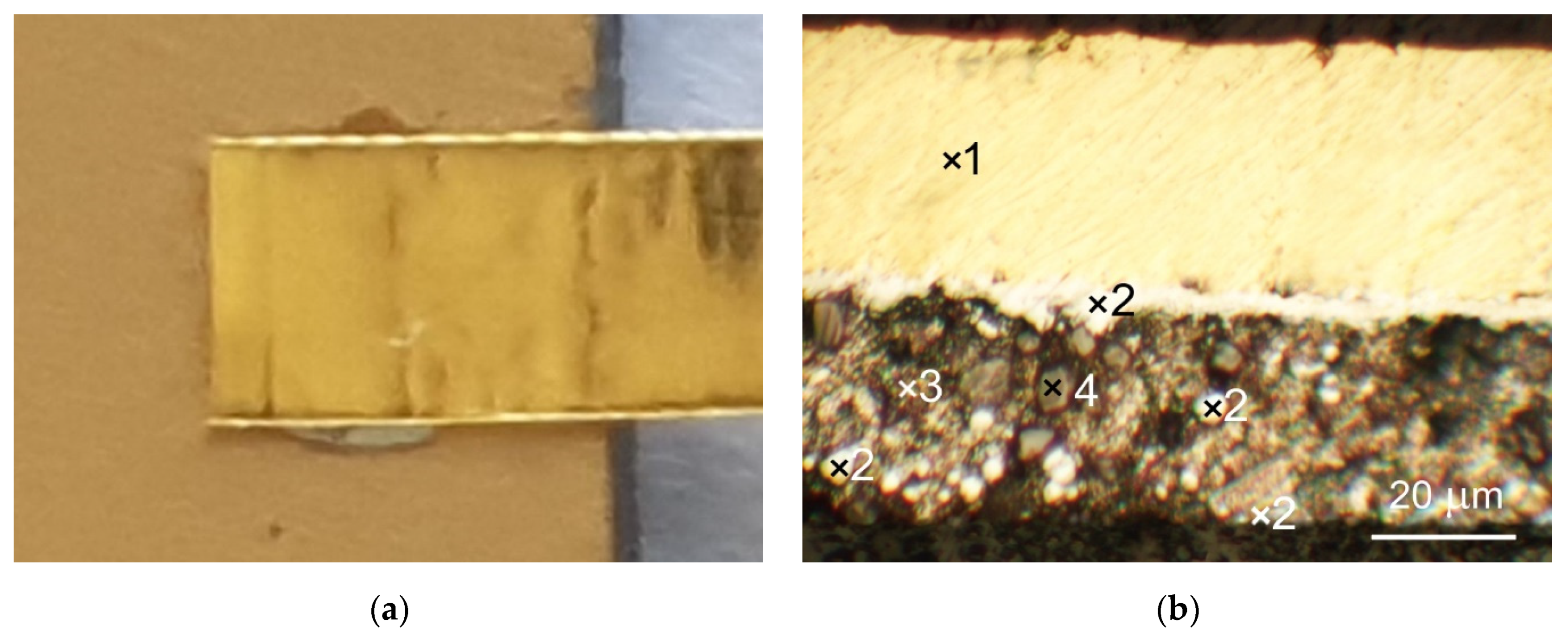 Sensors 21 04919 g008