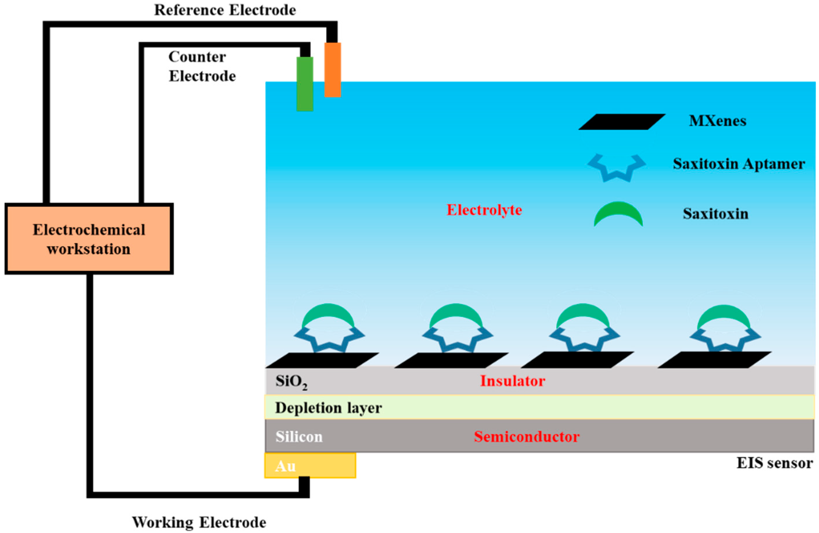 Sensors 21 04938 sch001