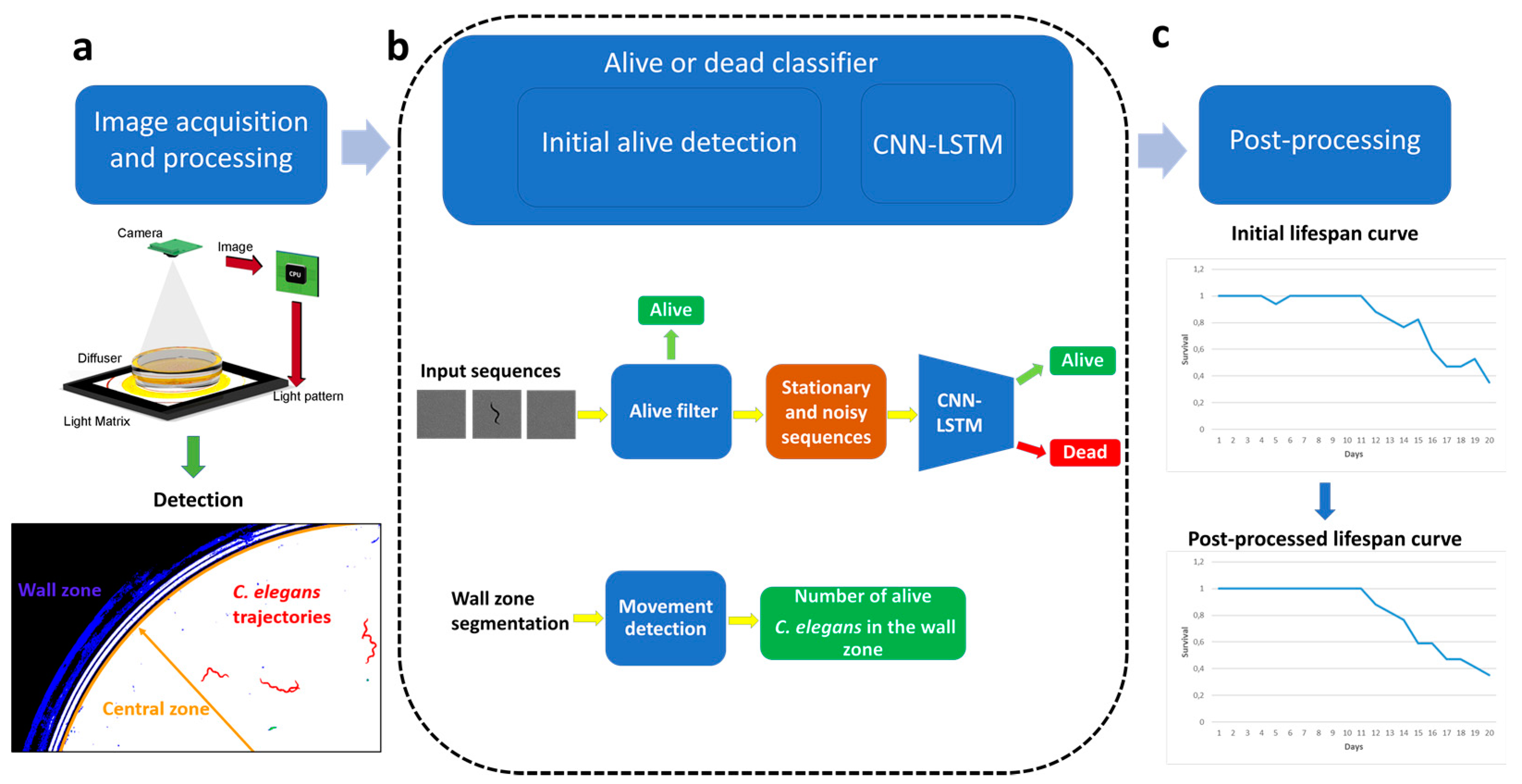 Sensors 21 04943 g001