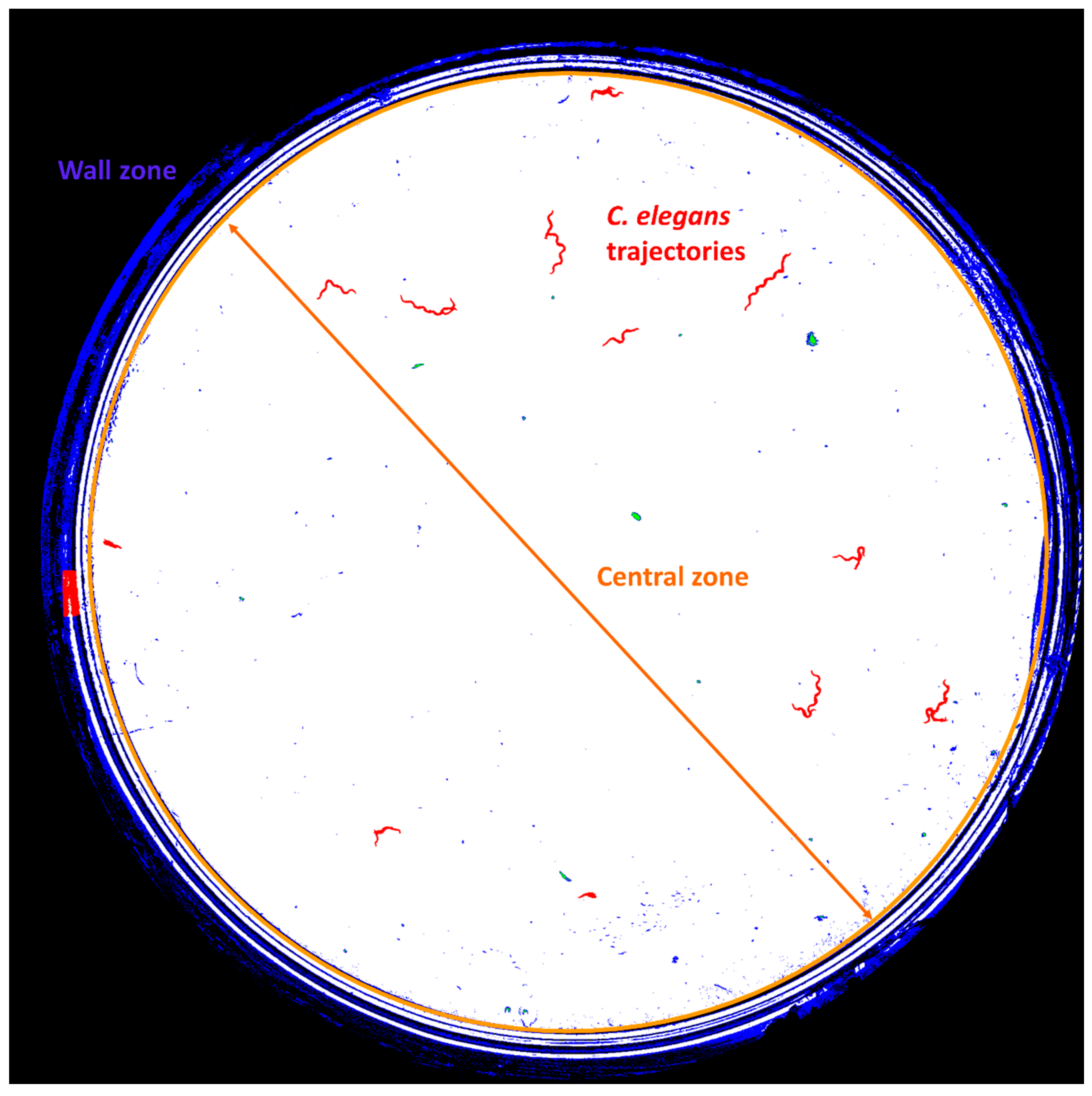 Sensors 21 04943 g002