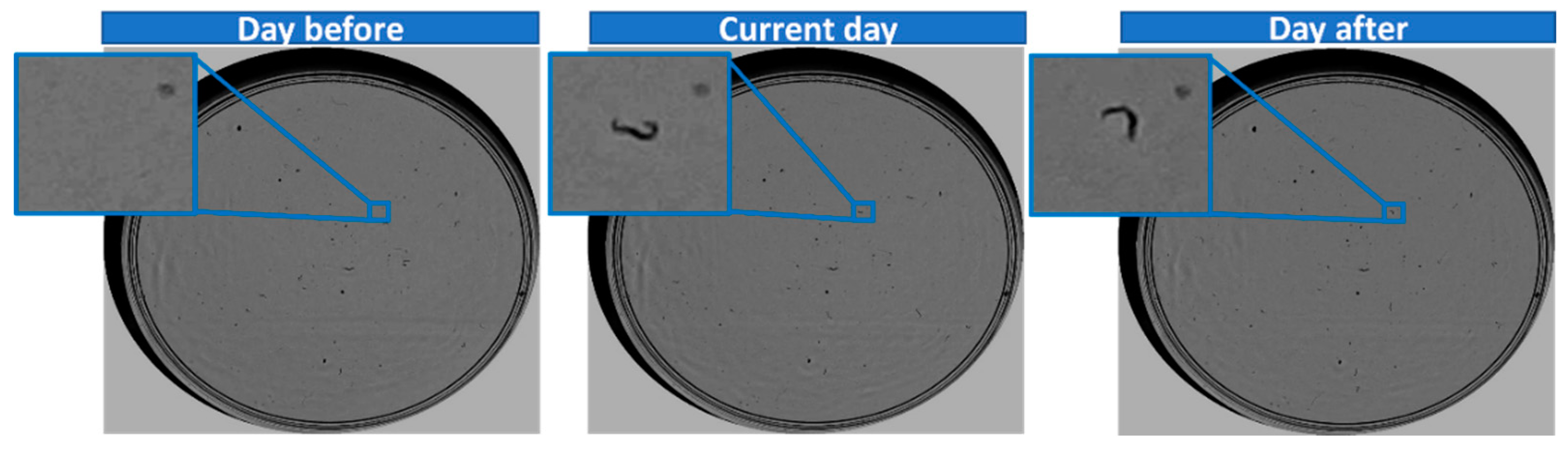 Sensors 21 04943 g003