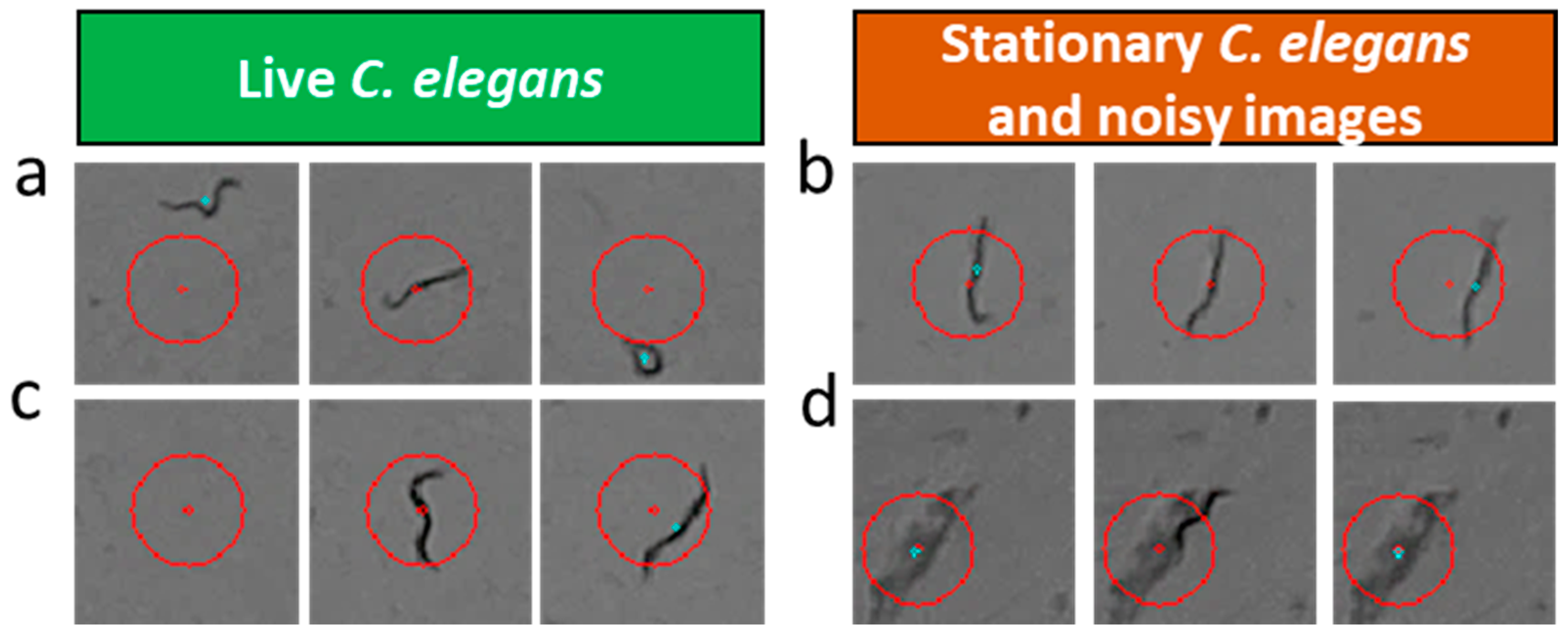 Sensors 21 04943 g004