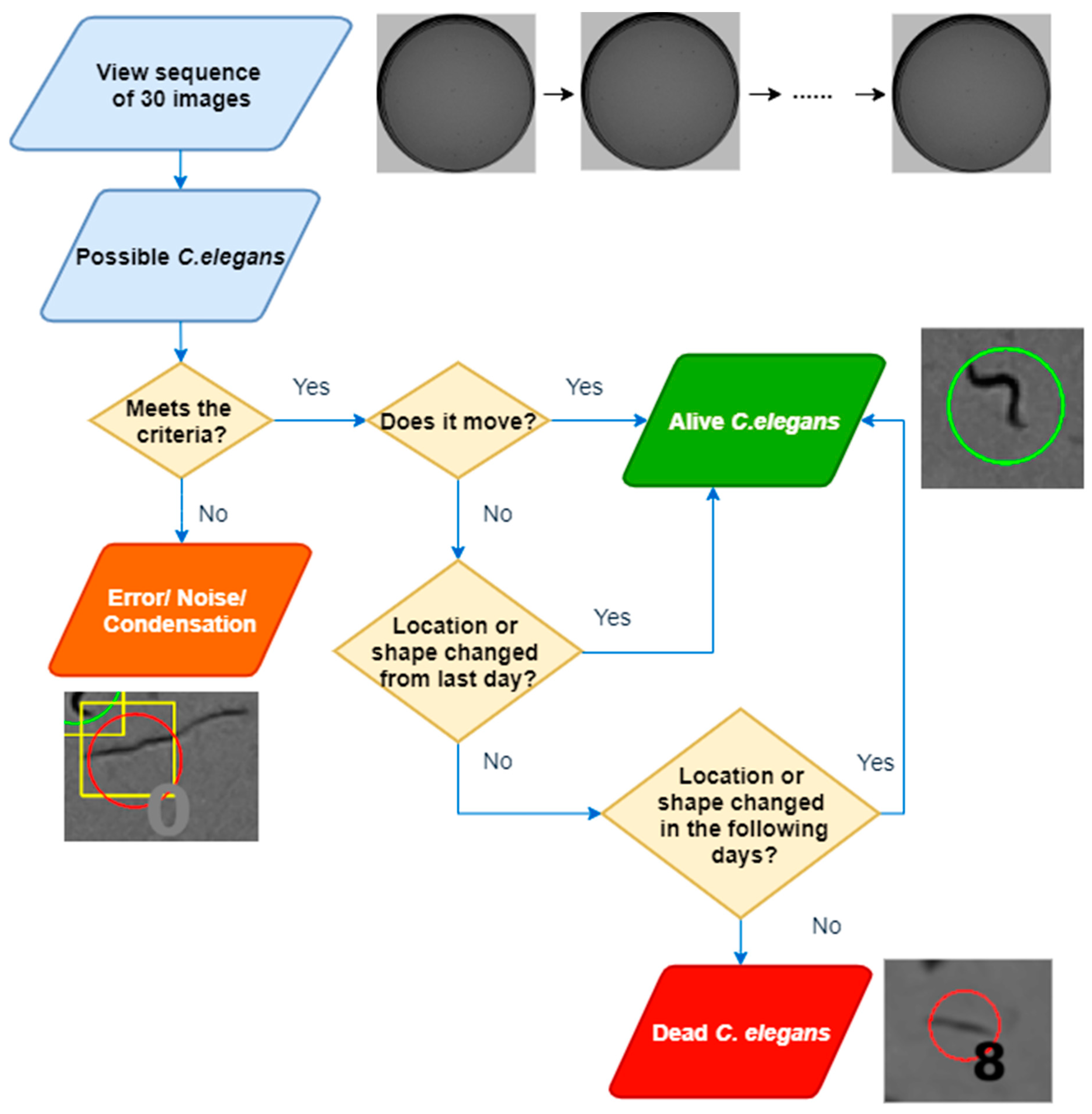 Sensors 21 04943 g006