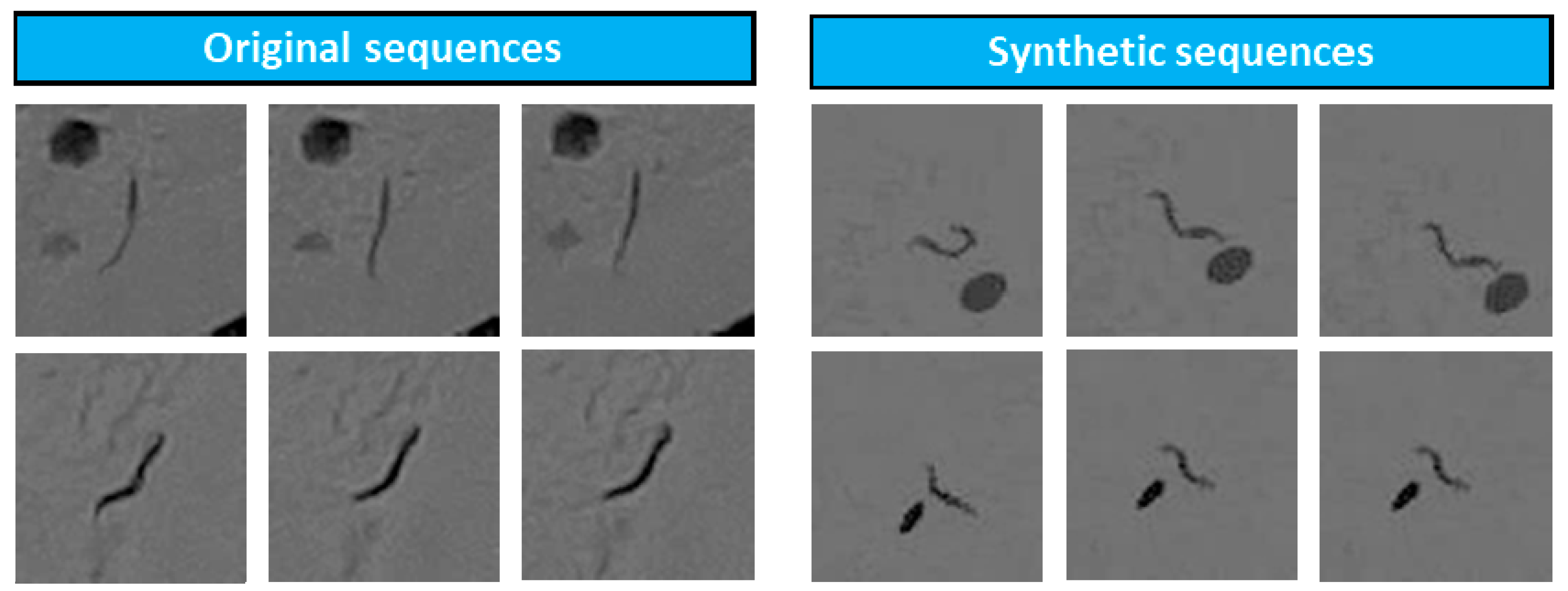 Sensors 21 04943 g007