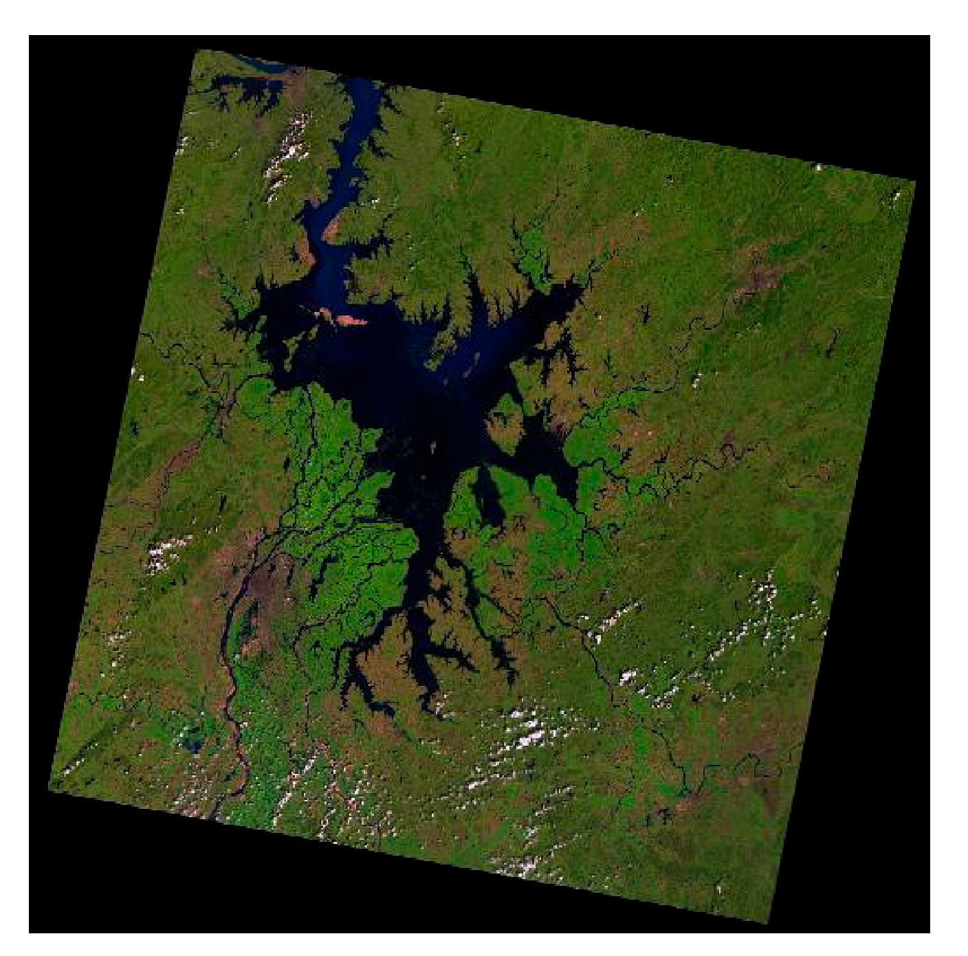 Sensors 21 04945 g001