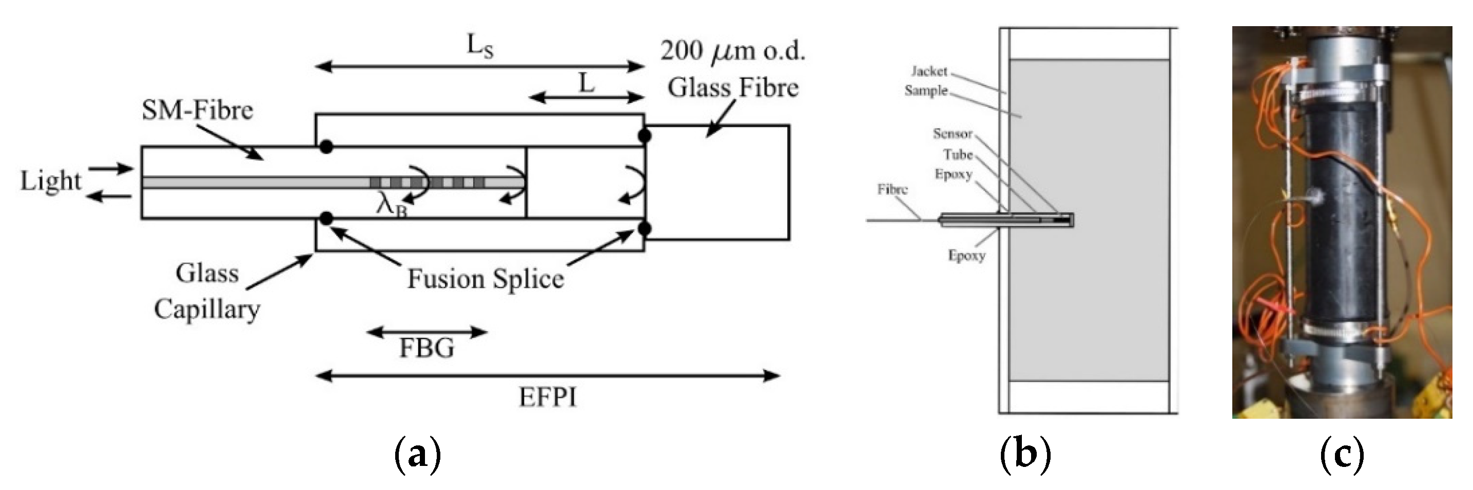 Sensors 21 04948 g010