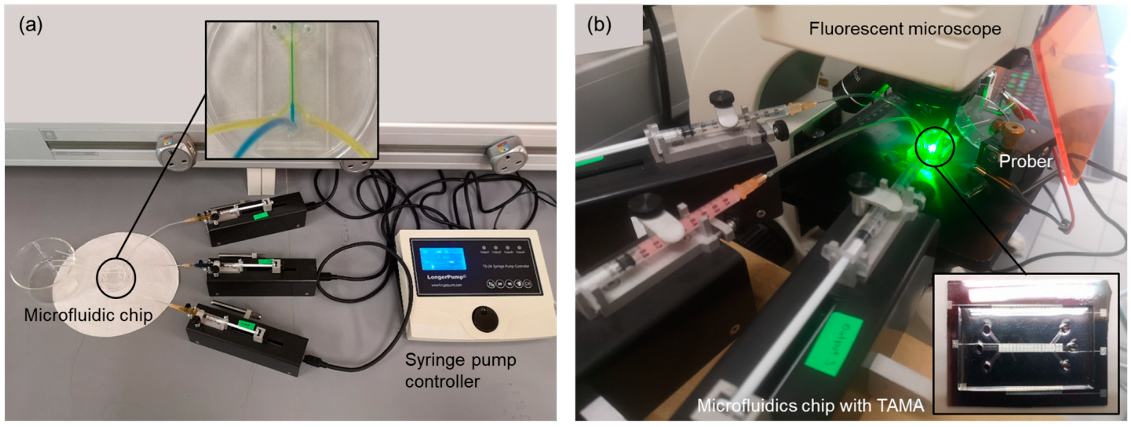 Sensors 21 04957 g004