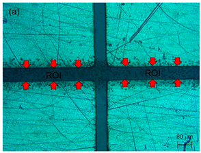 Sensors 21 04957 i001